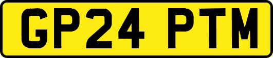 GP24PTM