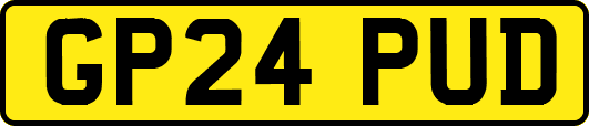 GP24PUD