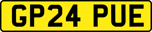 GP24PUE