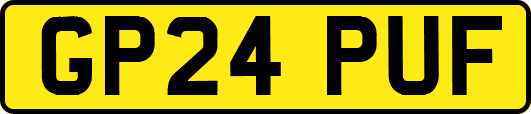 GP24PUF