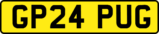GP24PUG