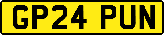 GP24PUN