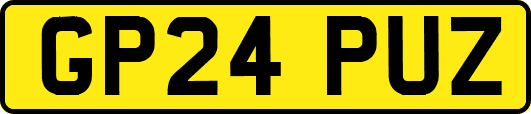 GP24PUZ