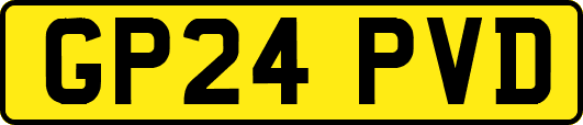 GP24PVD