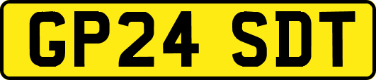 GP24SDT