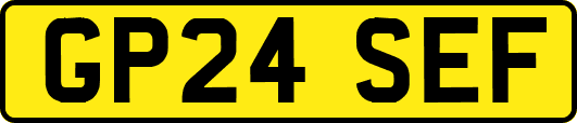 GP24SEF