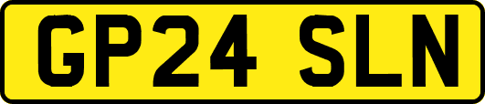 GP24SLN