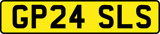 GP24SLS