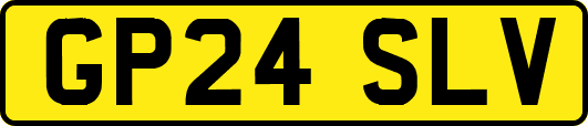 GP24SLV