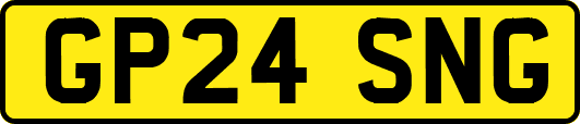 GP24SNG