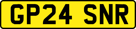 GP24SNR