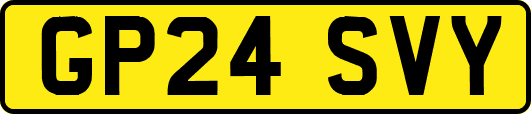GP24SVY