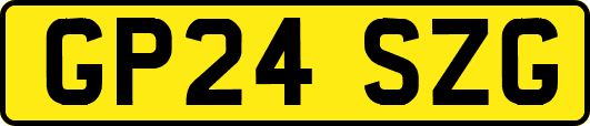 GP24SZG
