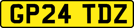 GP24TDZ
