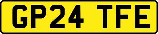 GP24TFE
