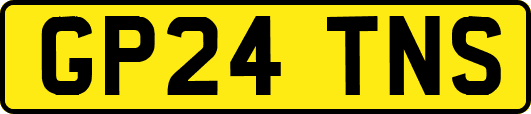 GP24TNS