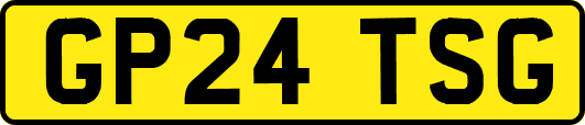 GP24TSG