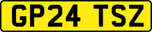 GP24TSZ