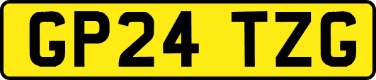 GP24TZG