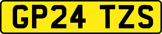 GP24TZS