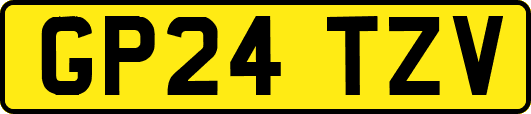 GP24TZV