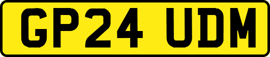 GP24UDM