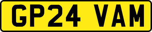 GP24VAM