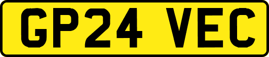 GP24VEC