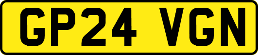 GP24VGN