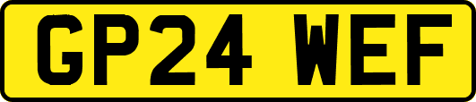 GP24WEF