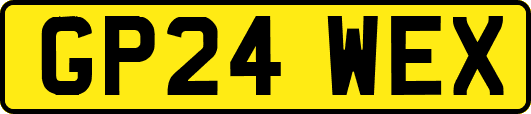 GP24WEX
