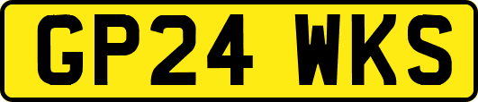 GP24WKS