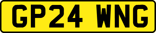 GP24WNG