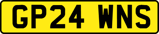 GP24WNS