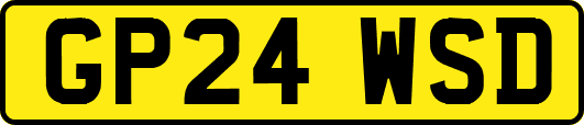 GP24WSD