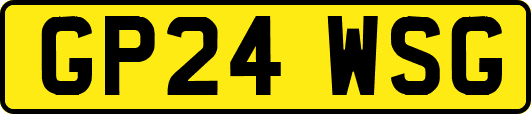 GP24WSG