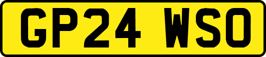 GP24WSO