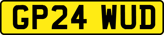 GP24WUD