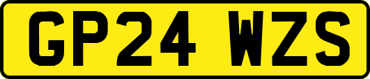 GP24WZS