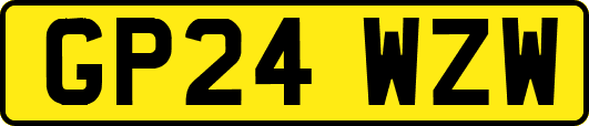 GP24WZW