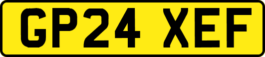 GP24XEF