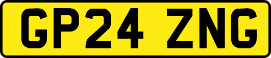 GP24ZNG