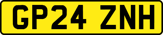 GP24ZNH