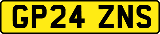 GP24ZNS