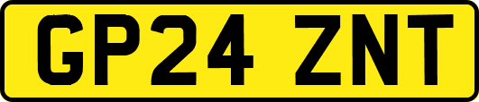 GP24ZNT