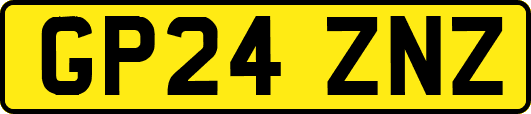 GP24ZNZ