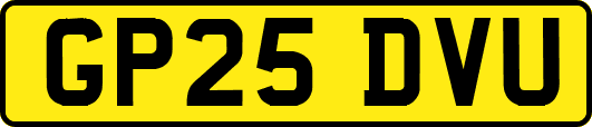 GP25DVU