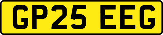 GP25EEG