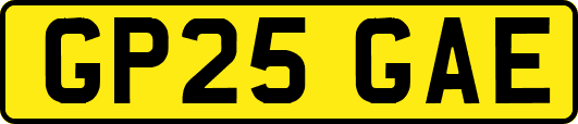 GP25GAE