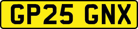 GP25GNX